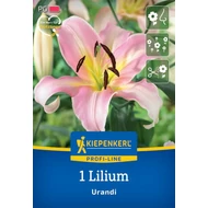 Liliom