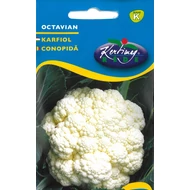 Karfiol