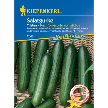 Salátauborka Tristan 'PG-R' KIEPENKERL