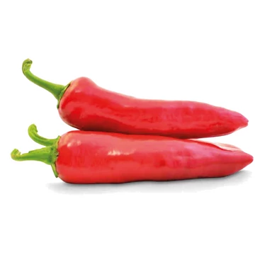 Fűszerpaprika (Csípős) Jubileum F1 10000 szem ZKI-P