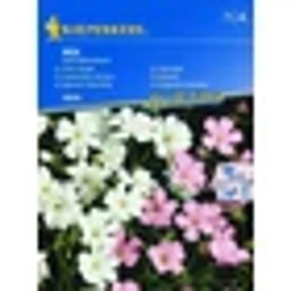 k8696_picture