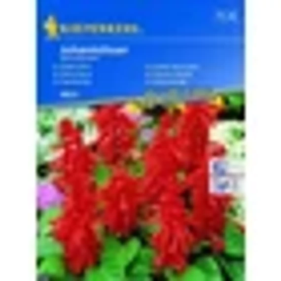 k8803_picture