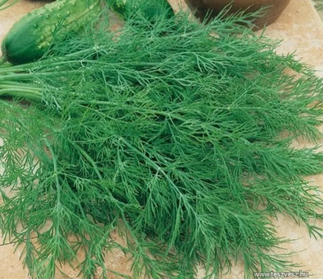 Kapor Moravan 500g (Nagy kiszerelés) RÉDEI