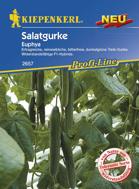 Salátauborka Euphya 'PG-R' KIEPENKERL