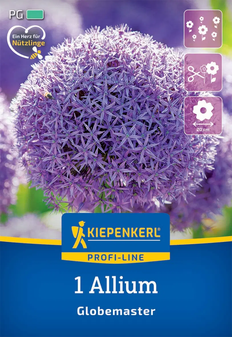 Díszhagyma Globemaster (1 db/cs) 'PG-3' KIEPENKERL