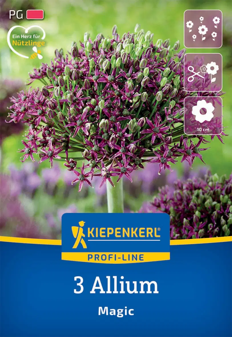 Díszhagyma Magic (3 db/cs) 'PG-2' KIEPENKERL