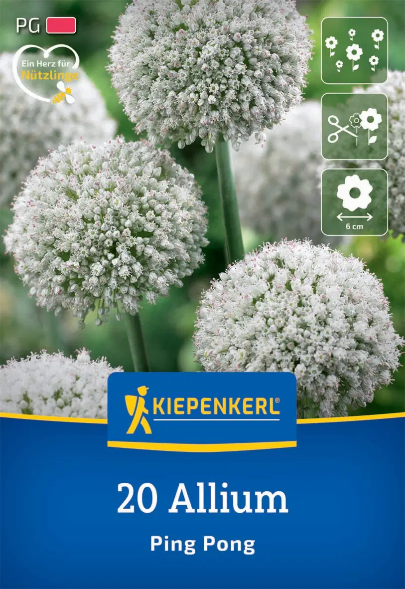 Díszhagyma Ping Pong (20 db/cs) 'PG-2' KIEPENKERL