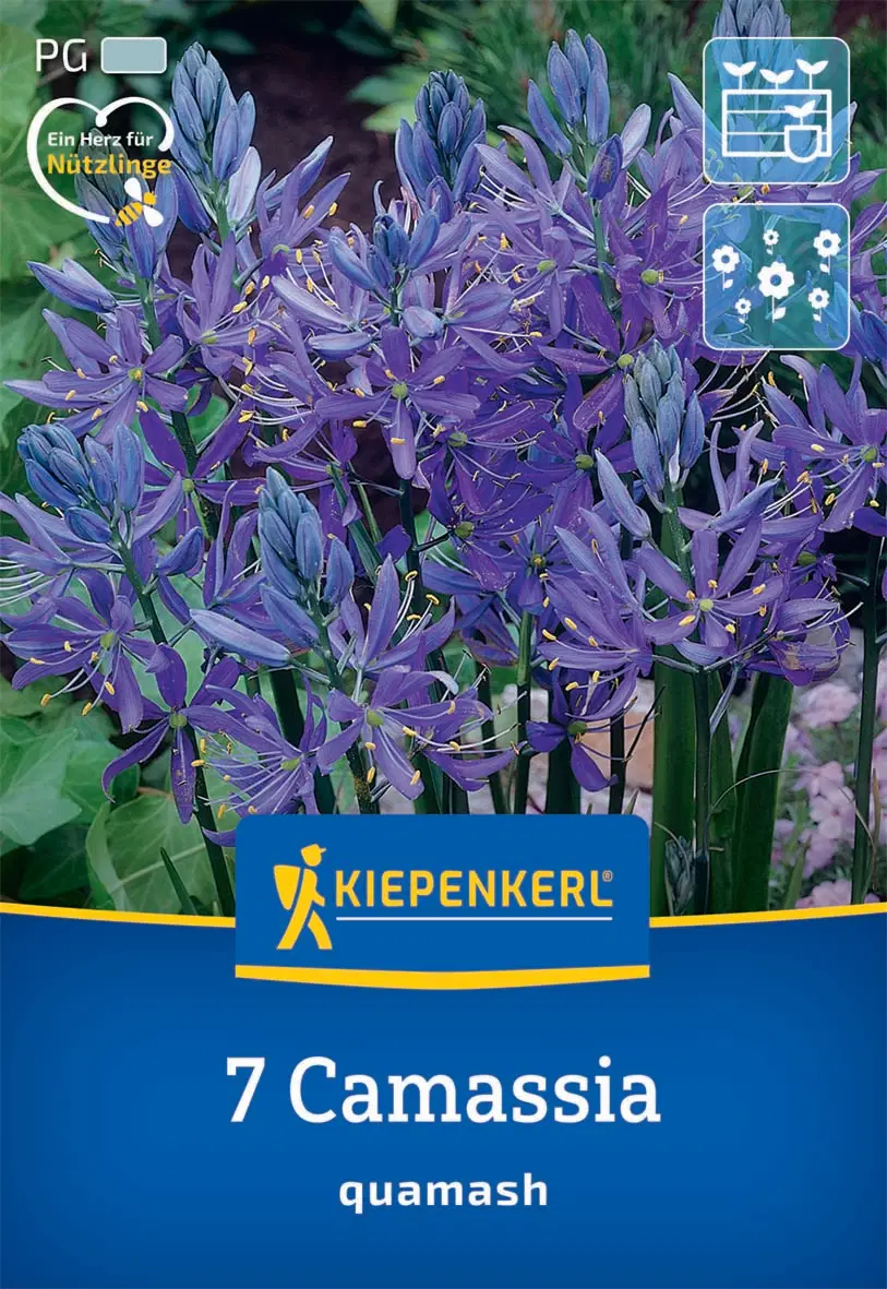 Prérigyertya (7 db/cs) 'PG-0' KIEPENKERL