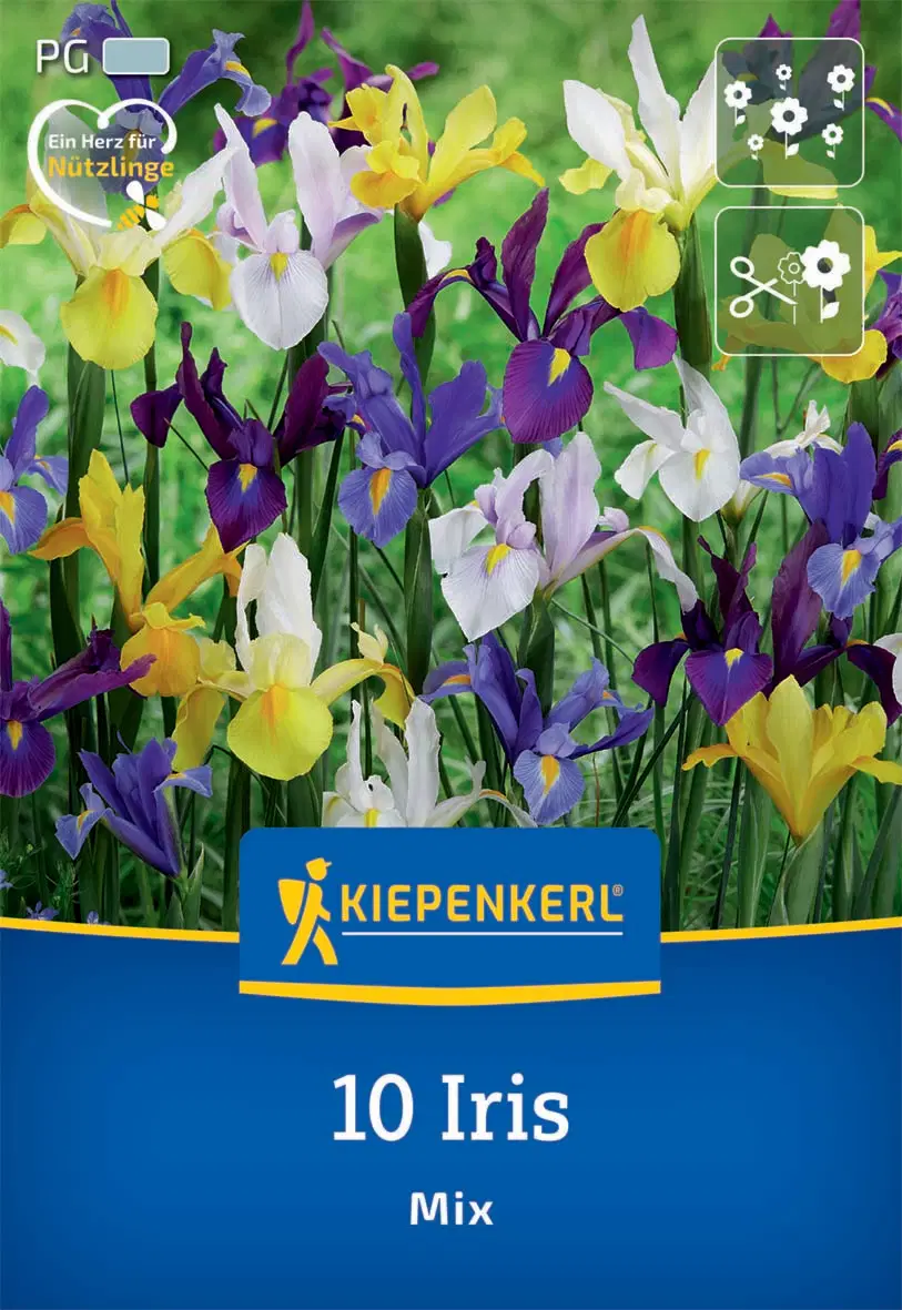 Írisz/nőszirom színkeverék (10 db/cs) 'PG-0' KIEPENKERL