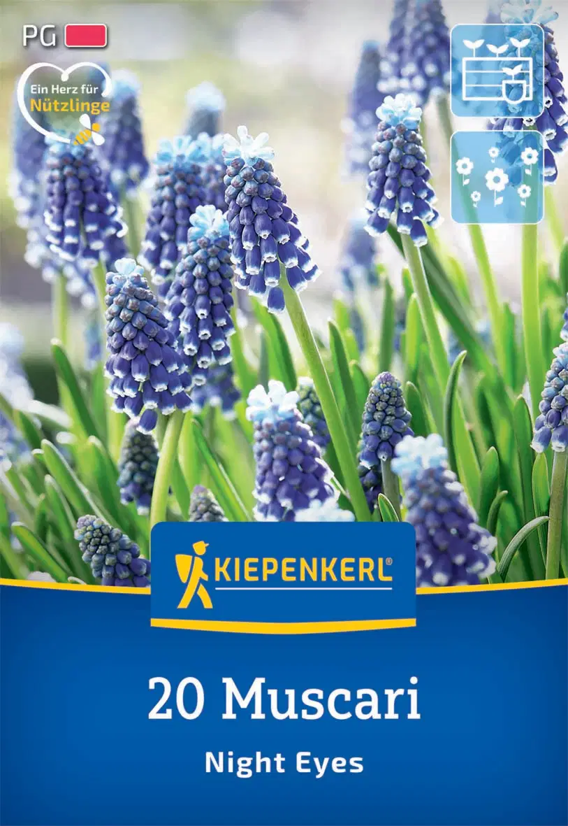 Gyöngyike Night Eyes (20 db/cs) 'PG-2' KIEPENKERL