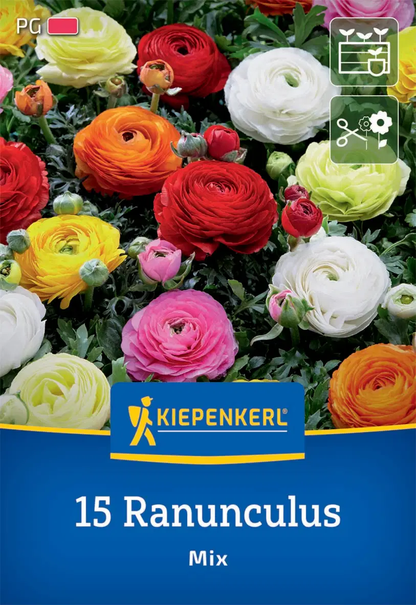 Boglárka Mix (15 db/cs) 'PG-2' KIEPENKERL