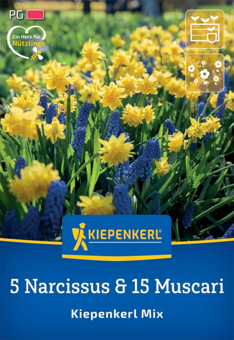 Nárcisz-Gyöngyike összeállítás (20 db/cs) 'PG-2' KIEPENKERL