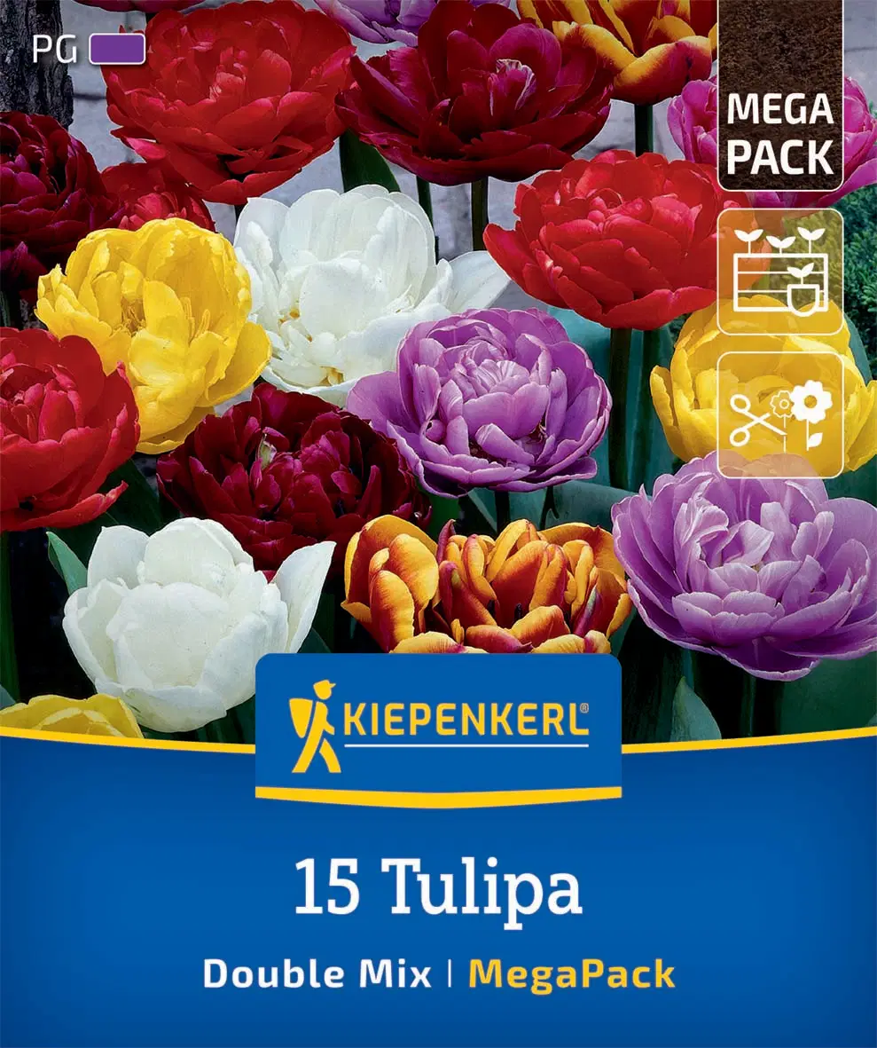 Tulipán Double Tulip Mix (15 db/cs) 'PG-6' Mega-Pack KIEPENKERL