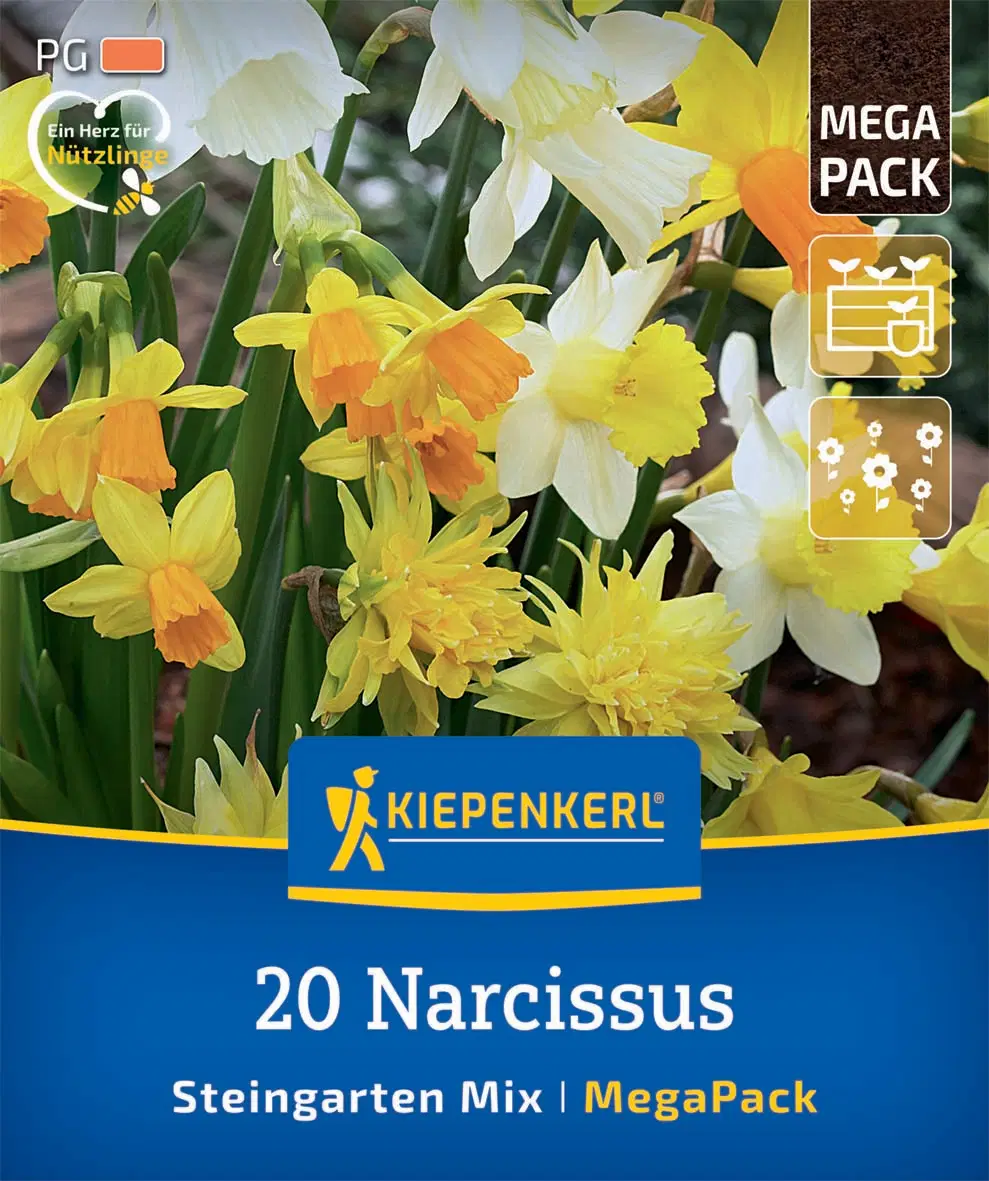 Nárcisz sziklakerti keverék (20 db/cs) 'PG-5' Mega-Pack KIEPENKERL