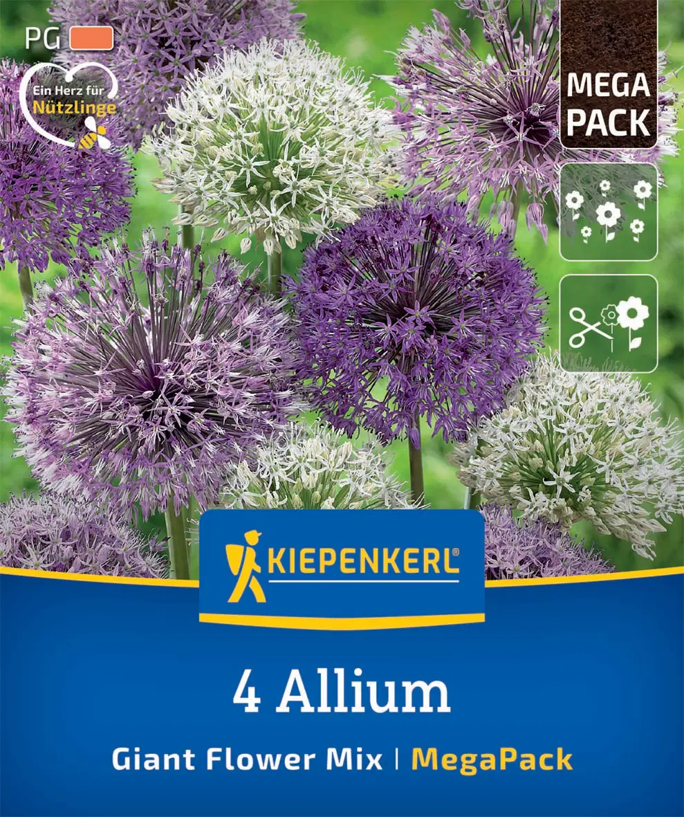 Díszhagyma Giant Flower Mix (4 db/cs) 'PG-5' Mega-Pack KIEPENKERL
