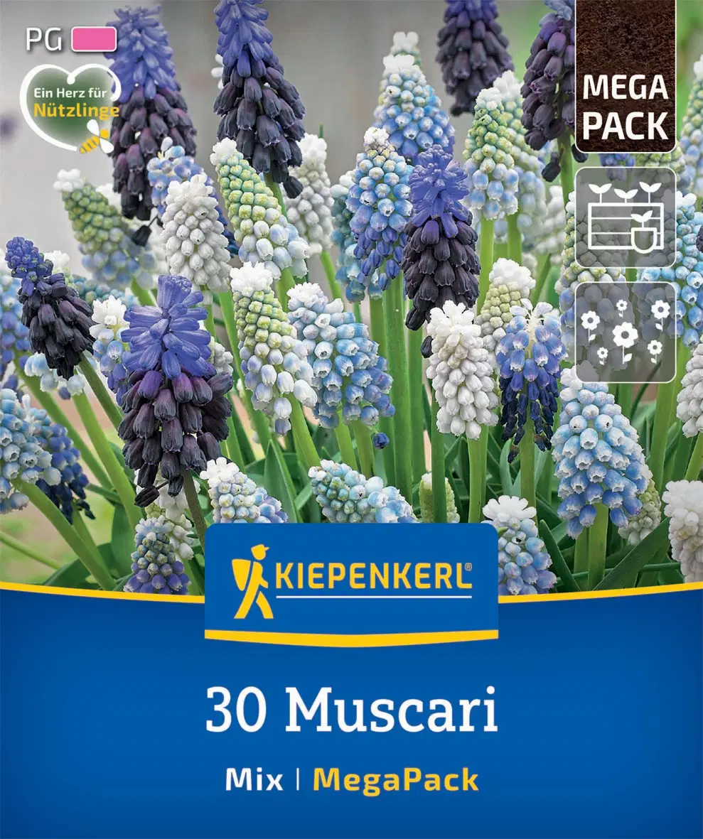 Gyöngyike színkeverék (30 db/cs) 'PG-4' Mega-Pack KIEPENKERL