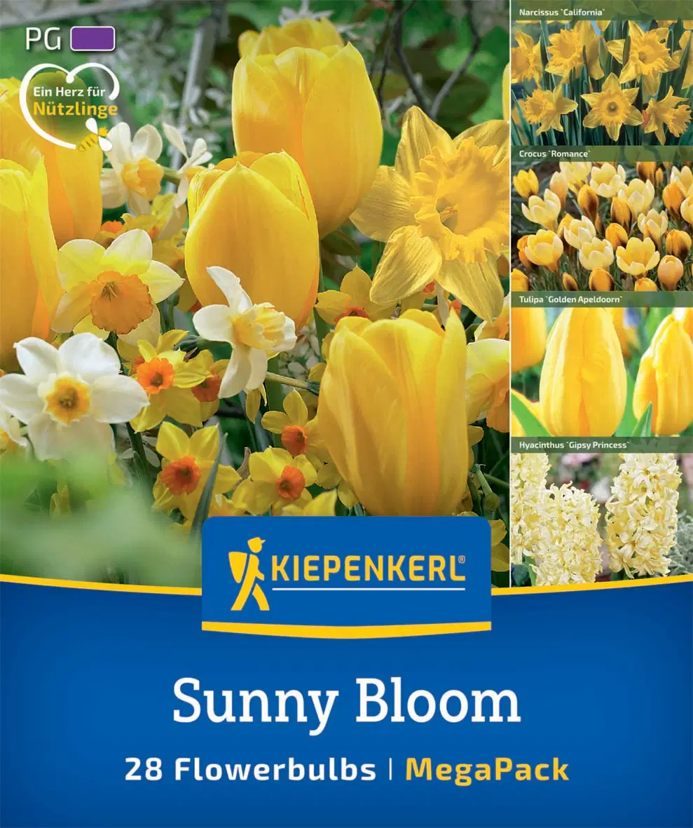 Sunny Bloom Mix (28 db/cs) 'PG-6' Mega-Pack KIEPENKERL