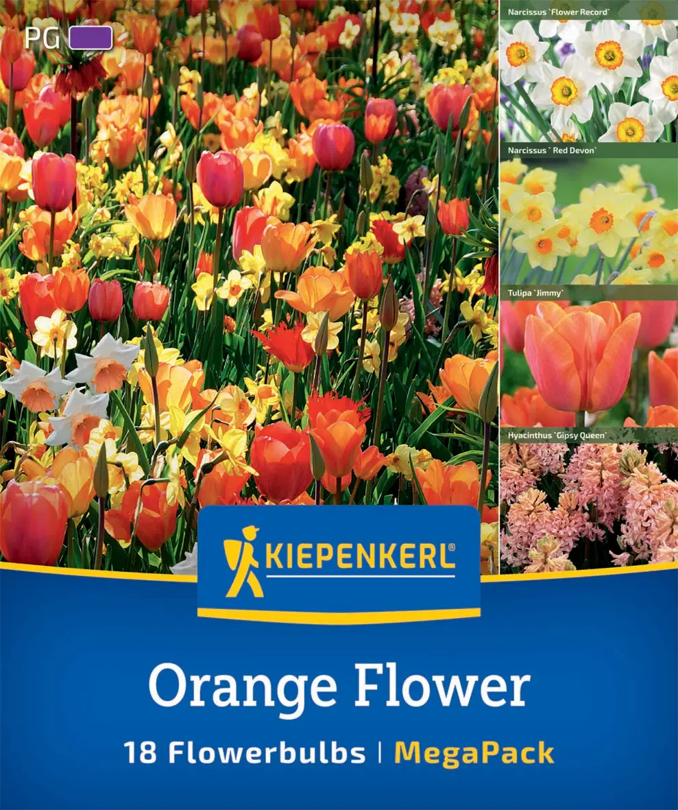 Orange Harmony (18 db/cs) 'PG-6' Mega-Pack KIEPENKERL