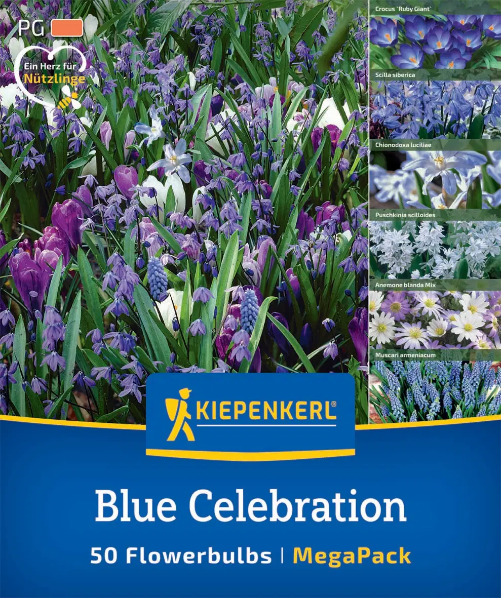 Blue Celebration Mix (50 db/cs) 'PG-5' Mega-Pack KIEPENKERL