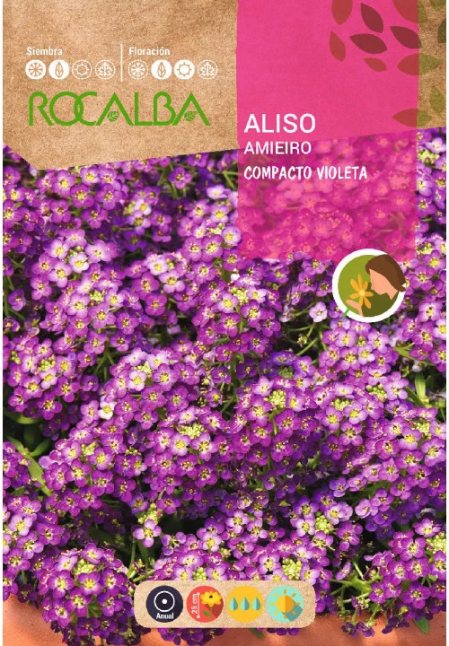 Illatos ternye lila 2g ROCALBA