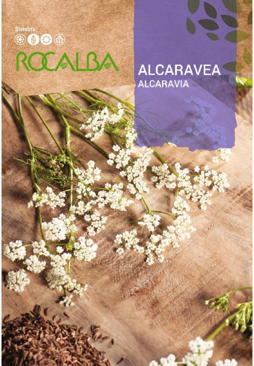 Fűszerkömény 6g ROCALBA