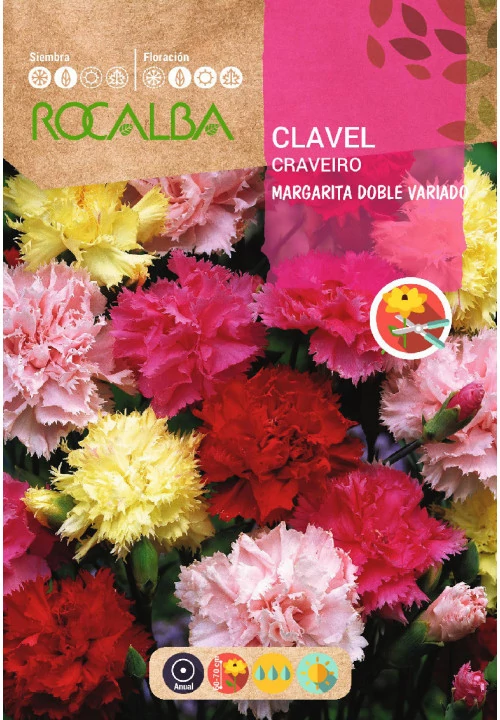 Kerti szegfű színkeverék 1g ROCALBA