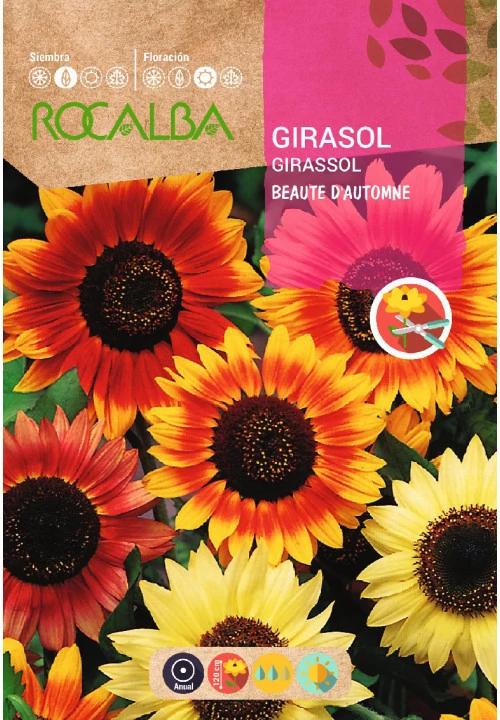 Napraforgó Beaute D'Automne színkeverék 10g ROCALBA