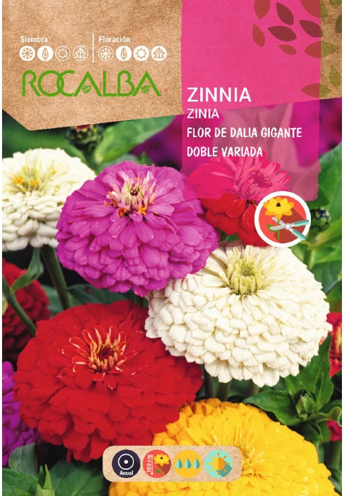 Legényvirág nagyvirágú színkeverék 6g ROCALBA