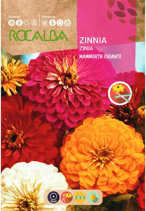 Legényvirág Mammouth Gigante szk. 3g ROCALBA