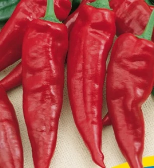 Fűszerpaprika Kárminvörös 25g (Nagy kiszerelés) RÉDEI